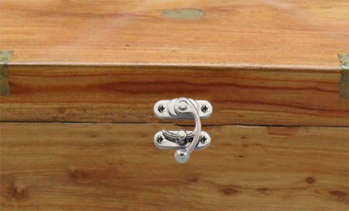 Silver Ox Horn Swing Catch - Image 4